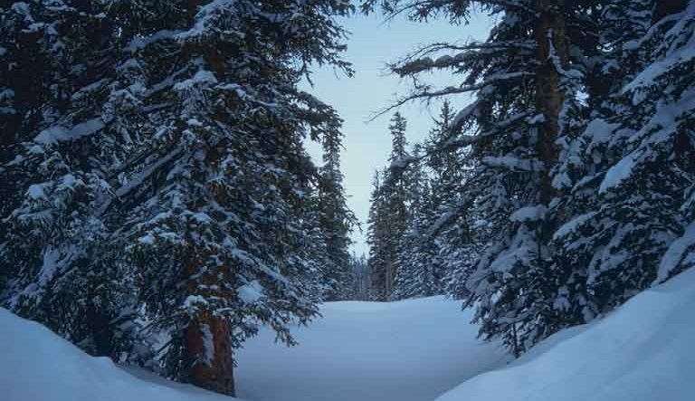 Early snow this year